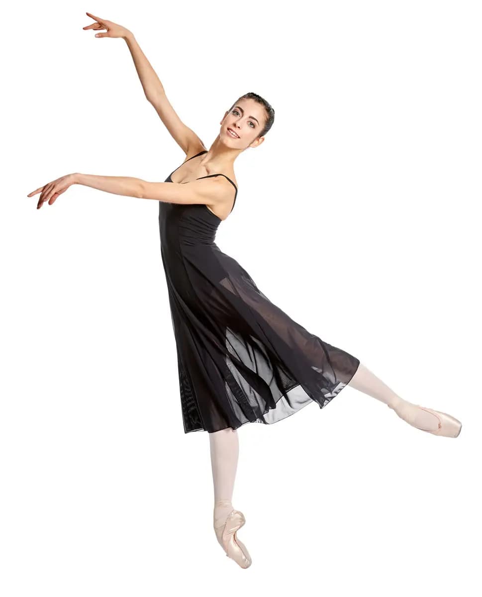 Long Mesh Dress Leotard Claire